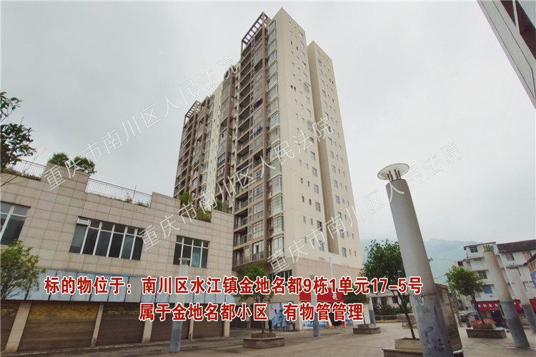 【第一次拍卖】南川区水江镇金地名都9栋1单元17-5号 起拍价:20.